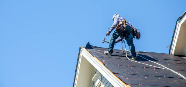 Roof Gutter Cleaning in Pineville, NC